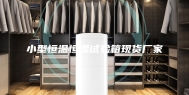 小型恒温恒湿试验箱现货厂家