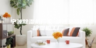宁波除湿机厂家-快速交货的除湿机工厂