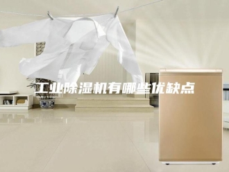 行业新闻工业除湿机有哪些优缺点