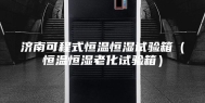 济南可程式恒温恒湿试验箱（恒温恒湿老化试验箱）