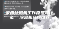 家用除湿机工作原理是什么  除湿机品牌推荐