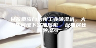 甘孜藏族自治州工业除湿机，大型车间地下室抽湿机  配电房仓库除湿器