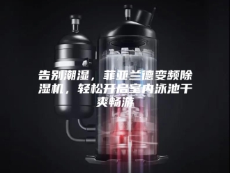 行业新闻告别潮湿，菲亚兰德变频除湿机，轻松开启室内泳池干爽畅游
