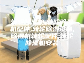 企业新闻转轮除湿机,转轮除湿机配件,转轮除湿设备,除湿机转轮配件,转轮除湿机安装