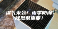 湿气来袭！雨季防潮除湿很重要！