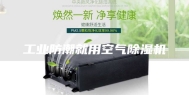 工业防潮就用空气除湿机