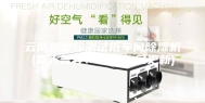 云南新型检测试纸车间除湿机(喜大普奔！2023已更新)