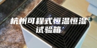 杭州可程式恒温恒湿试验箱
