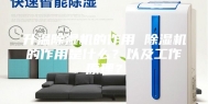 升温除湿机的作用 除湿机的作用是什么？以及工作原理？