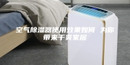 空气除湿器使用效果如何 为你带来干爽家居
