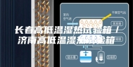 长春高低温湿热试验箱／济南高低温湿热试验箱