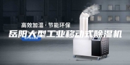 岳阳大型工业移动式除湿机