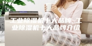 工业除湿机十大品牌_工业除湿机十大品牌介绍
