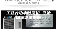 工业大功率除湿机 泳池除湿设备供应