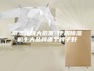 行业新闻潮湿环境大危害 使用除湿机十大品牌哪个牌子好
