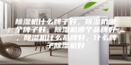 除湿机什么牌子好，除湿机哪个牌子好，除湿机哪个品牌好，除湿机什么品牌好，什么牌子除湿机好