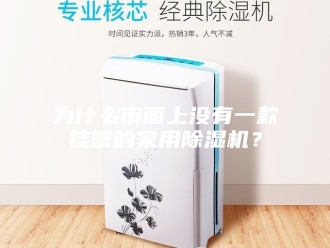 常见问题为什么市面上没有一款挂壁的家用除湿机？