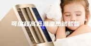 可编程高低温湿热试验箱