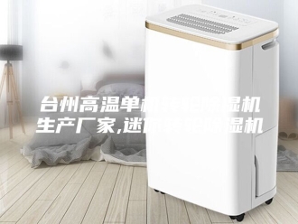 行业新闻台州高温单机转轮除湿机生产厂家,迷你转轮除湿机