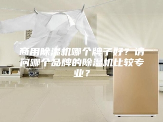 行业新闻商用除湿机哪个牌子好？请问哪个品牌的除湿机比较专业？