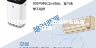 南方高温已过，防潮防霉还需注意！