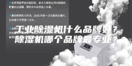 工业除湿机什么品牌好？除湿机哪个品牌最专业？
