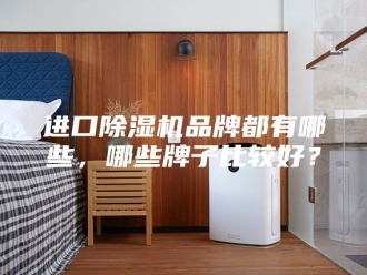 企业新闻进口除湿机品牌都有哪些，哪些牌子比较好？