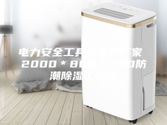 知识百科电力安全工具柜生产厂家 2000＊800＊450防潮除湿工具柜