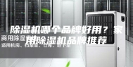 除湿机哪个品牌好用？家用除湿机品牌推荐