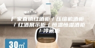 厂家直销红酒柜／压缩机酒柜／红酒展示柜／恒温恒湿酒柜／冷藏柜