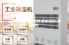江西全新风管道除湿机报价及图片