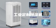 工业定制除湿机