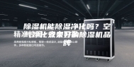 除湿机能除湿净化吗？空气净化效果好的除湿机品牌