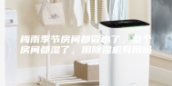 梅雨季节房间都冒水了，整个房间都湿了，用除湿机有用吗