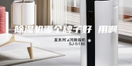 除湿机哪个牌子好 用啊？