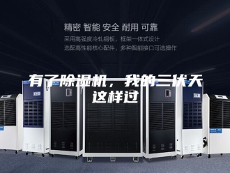 行业新闻有了除湿机，我的三伏天这样过