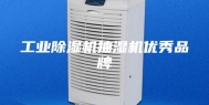 工业除湿机抽湿机优秀品牌