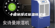 十堰吊顶式恒温恒湿机