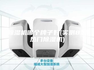 企业新闻除湿机哪个牌子好(实测8款热门除湿机)