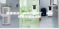 家里潮湿，宠物也受不了，除湿防潮还需除湿机