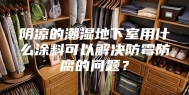 阴凉的潮湿地下室用什么涂料可以解决防霉防腐的问题？