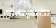 除湿机_百色除湿机_除湿机价格_工业除湿机_除湿机品牌_抽湿机