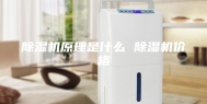 除湿机原理是什么 除湿机价格