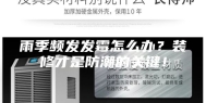 雨季频发发霉怎么办？装修才是防潮的关键！