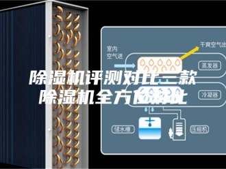 企业新闻除湿机评测对比三款除湿机全方位对比