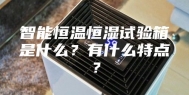 智能恒温恒湿试验箱是什么？有什么特点？
