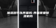 加湿器可以养猫吗-养猫需要除湿机吗