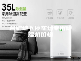 行业新闻合肥地下停车场专用除湿机价格
