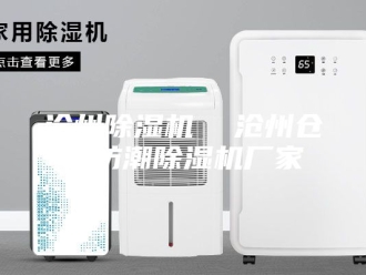 行业新闻沧州除湿机  沧州仓库防潮除湿机厂家