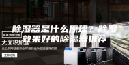 除湿器是什么原理？除湿效果好的除湿器推荐